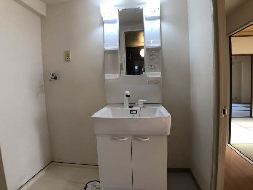 岸和田市土生町２丁目の賃貸マンションの独立洗面台|独立洗面台あり、毎朝おしゃれに忙しい女性の方におすすめです