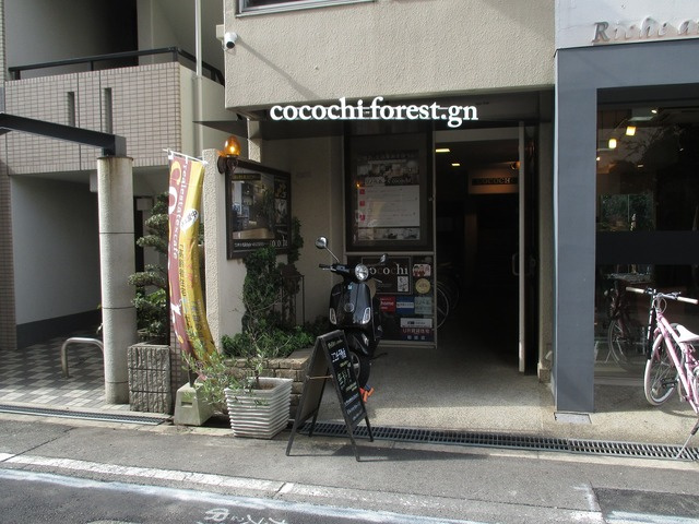 【エントランス】 | ココチフォレストgn | 外観にマッチしたエントランスです