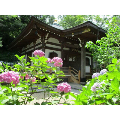 【周辺】 | サンヒルズⅠ