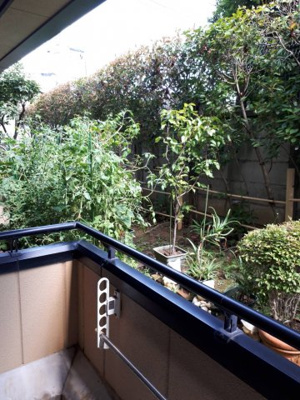 【展望】 | フォレストブライト | ※写真は同タイプのお部屋のものです。最新のものは近日中に掲載いたします。