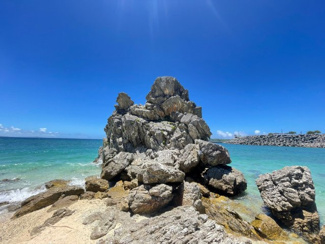 【周辺】 | 本部町辺名地【リゾート向き売地・3000坪】 |  ゴリラチョップ(崎本部緑地公園)まで車で8分♪