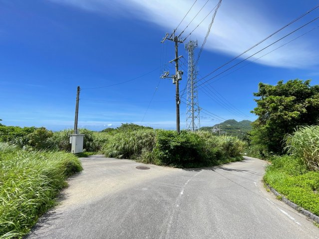本部町辺名地【リゾート向き売地・3000坪】の前面道路含む現地写真