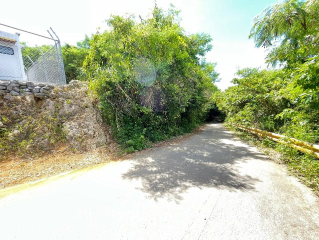 本部町辺名地【リゾート向き売地・3000坪】の前面道路含む現地写真