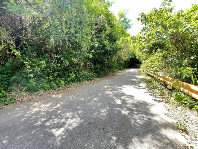 本部町辺名地【リゾート向き売地・3000坪】の前面道路含む現地写真