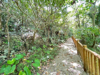 【周辺】 | 本部町辺名地【リゾート向き売地・3000坪】 | ミャークニー散策道♪