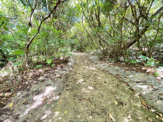 本部町辺名地【リゾート向き売地・3000坪】の周辺|ミャークニー散策道♪