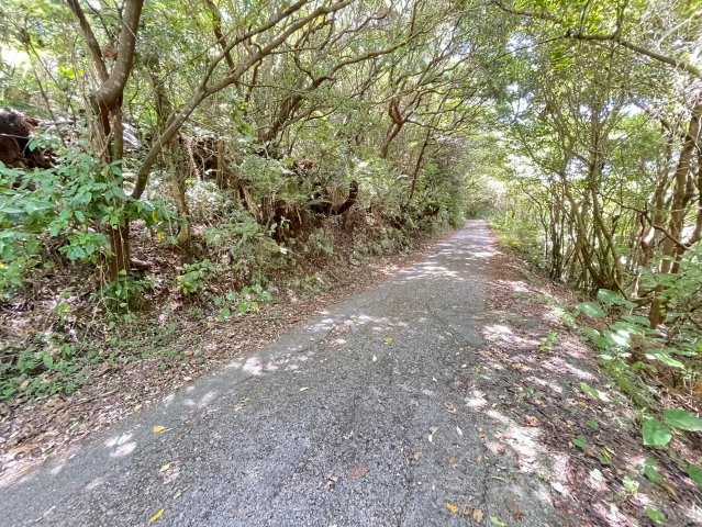 本部町辺名地【リゾート向き売地・3000坪】の周辺