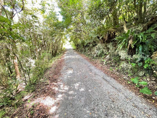 本部町辺名地【リゾート向き売地・3000坪】の周辺