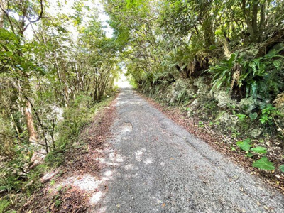 【周辺】 | 本部町辺名地【リゾート向き売地・3000坪】