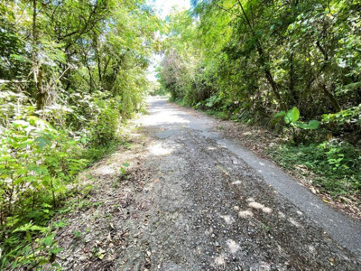 【周辺】 | 本部町辺名地【リゾート向き売地・3000坪】