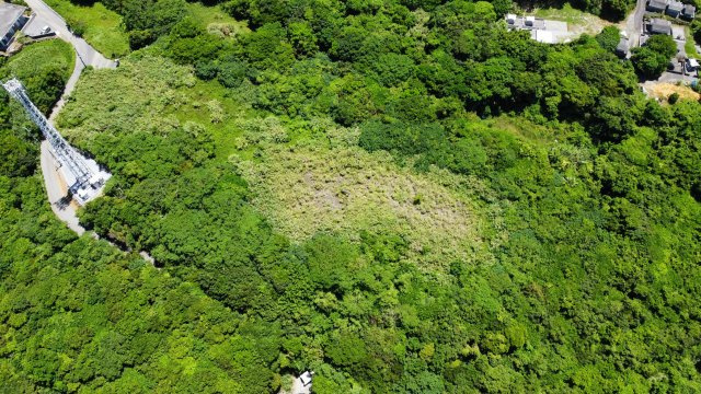 本部町辺名地【リゾート向き売地・3000坪】の外観|3000坪♪