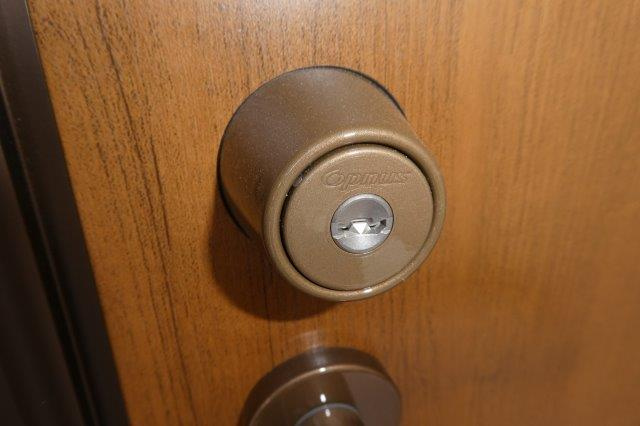 チェリーフレグランスのセキュリティ|オプナスキー