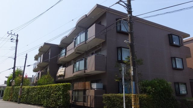 りぶいんしらゆり光の画像