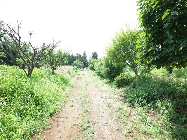 下唐子1942，1945貸地