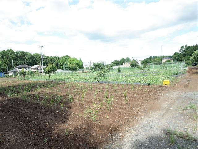 下唐子1942，1945貸地