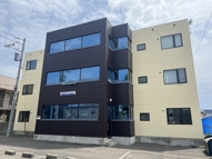 バーニーズブルーの画像