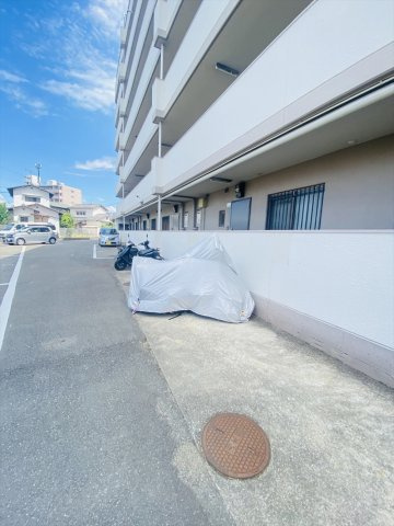 アムール板付の外観