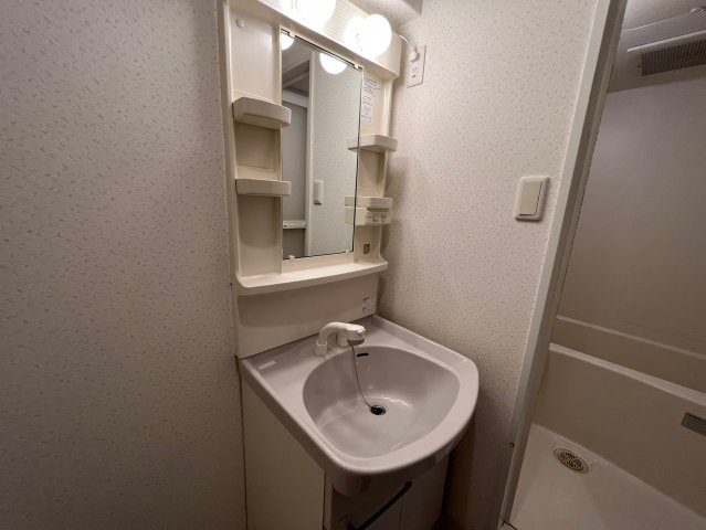 パークハイムうつぼの洗面所