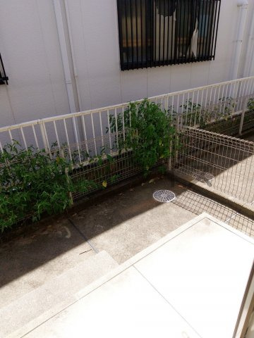 リベルテ末広の庭