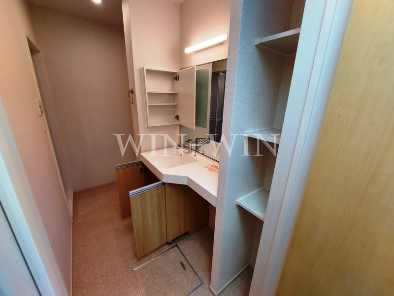 グロリエッテ上地 Aの洗面所