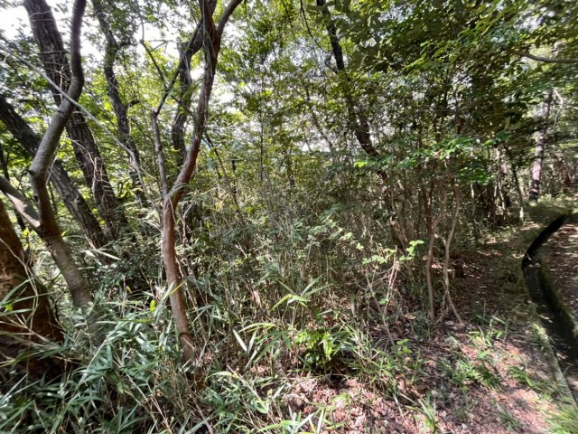 姫路市夢前町護持／売土地の周辺