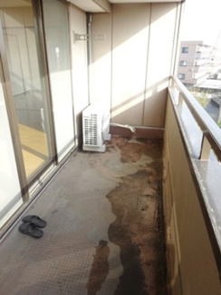 【バルコニー】 | 宇都宮市石井町　賃貸マンション