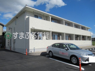 プリムラ　高浜市本郷町の画像