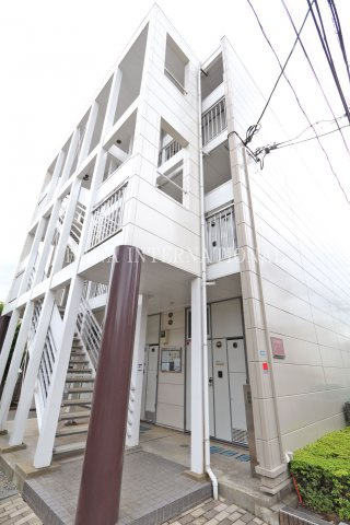 山葵の外観