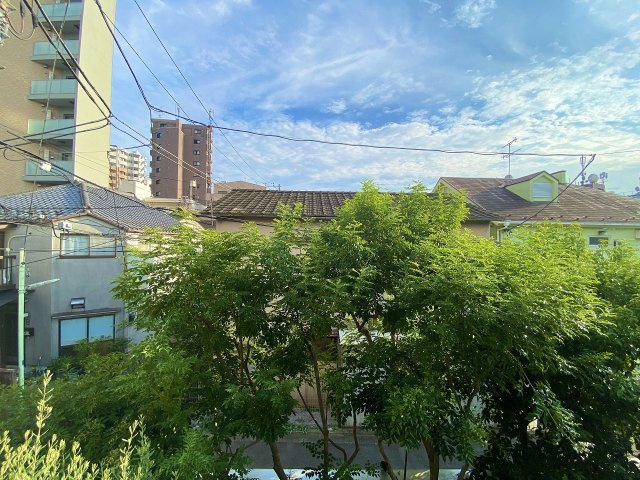 aleeの展望