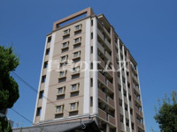 グレイス竹下 の画像