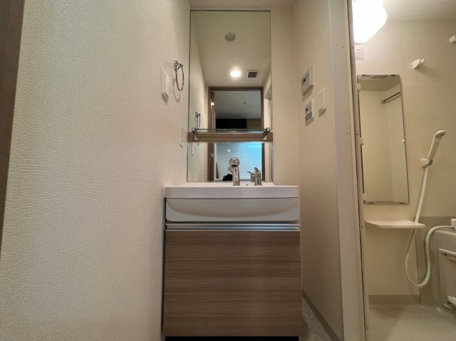 プレサンス難波セレクトの洗面所