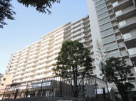 コア・スターレ西大井の画像