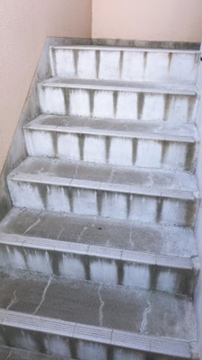 【その他共用部分】 | ファインローゼ　