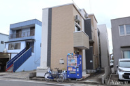 Globe amaranth庄内通の画像