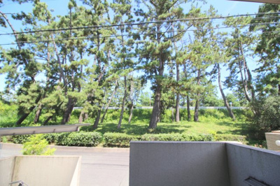 【展望】 | アベニール・コート緑地