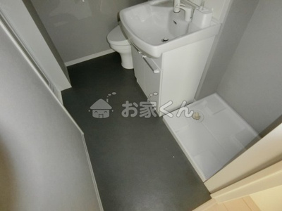  | アリッサム