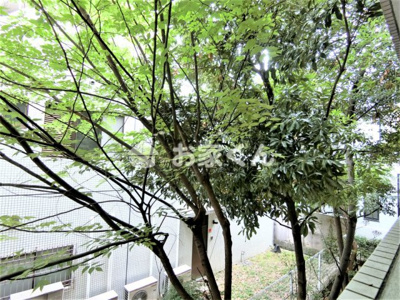 【展望】 | プエンテ21