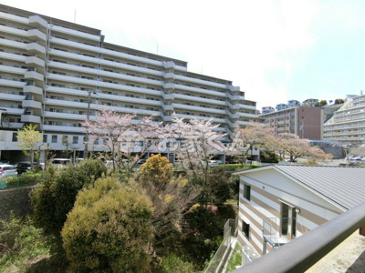 【展望】 | メービウス妙法寺