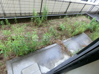 【バルコニー】 | コニー行幸