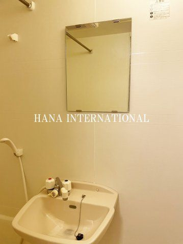 グリーンハイツの洗面所