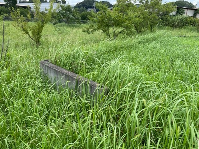 【外観】 | 香取市観音　売地 | 現地写真です