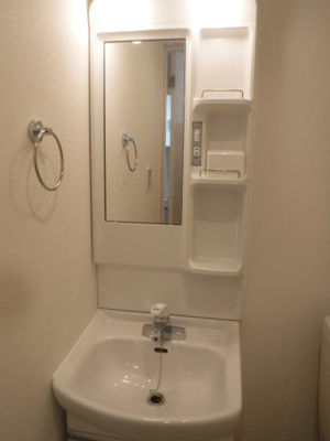 【独立洗面台】 | メゾングランディール元住吉 | 他のお部屋の参考写真となります。