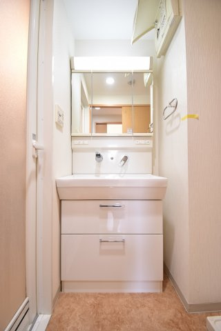 グレイス難波南の独立洗面台