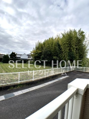 【展望】 | ドリームＣ