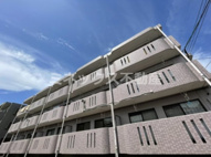 ドルミールYanoの画像