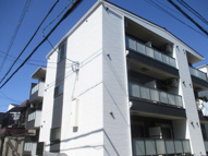 シプランドーレⅡの画像