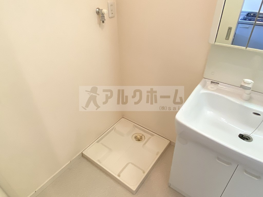 エレガンツア南本町の洗面所