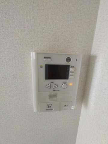  | ピュアネスDoi