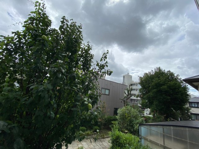 Branche金山｜名古屋市の賃貸ならMy賃貸の展望|Branche金山
