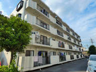 グレース美堀の画像